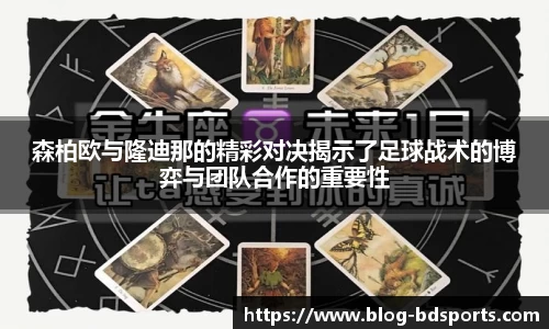 半岛体育APP